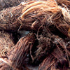 Spikenard